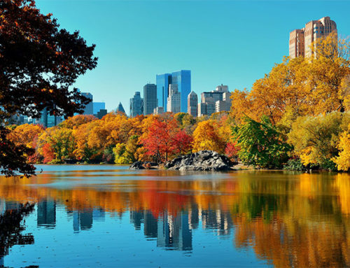 NEW YORK IN AUTUNNO SI TINGE D’ORO E DI ROSSO